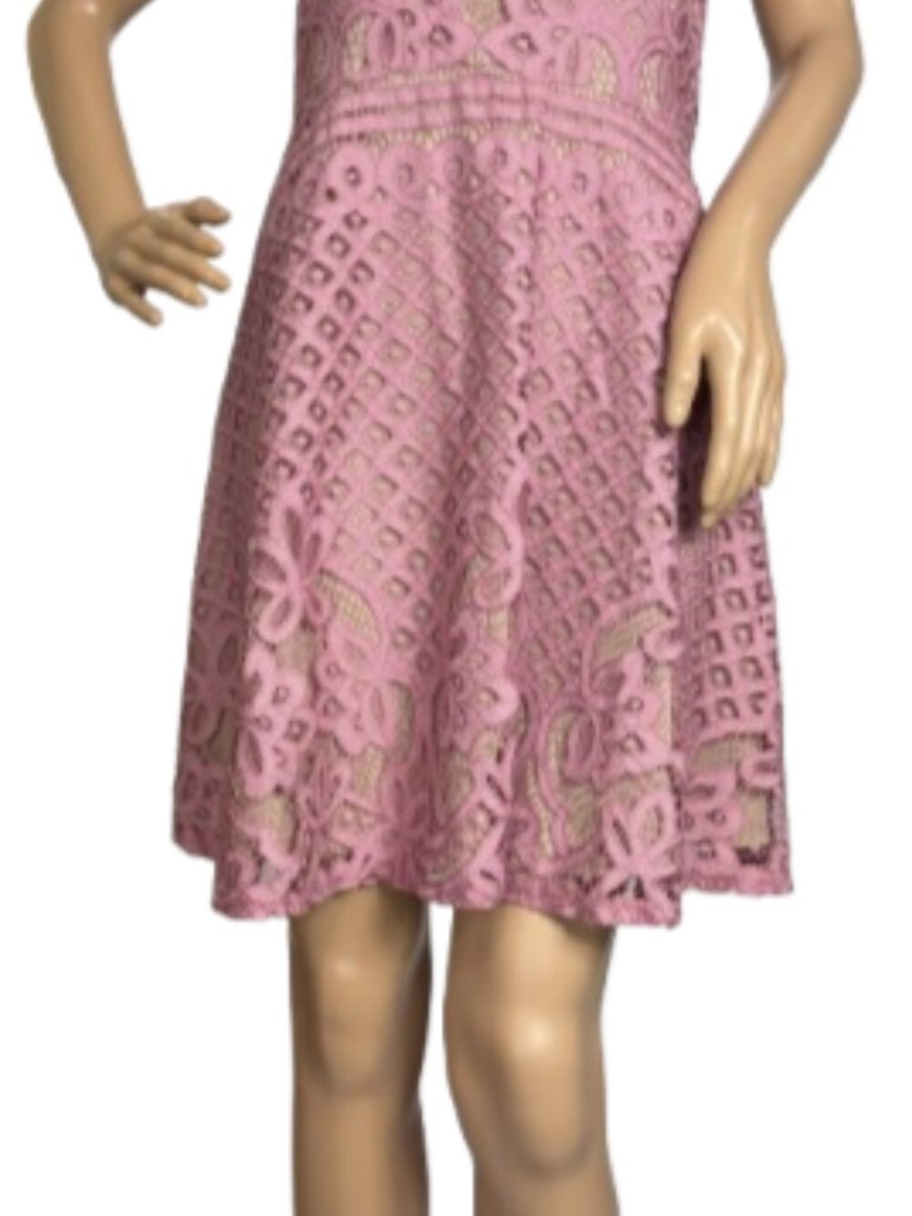 Love Fire Dusty Rose Lace Sleeveless Dress - Picture 4 of 8